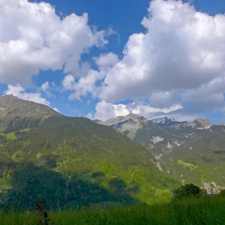 Silence By Interhome Apartment Wengen